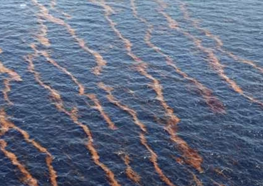 RECONOCE PEMEX FUGA DE CRUDO CERCA DE TERMINAL DE LA REFINERÌA DOS BOCAS, TABASCO